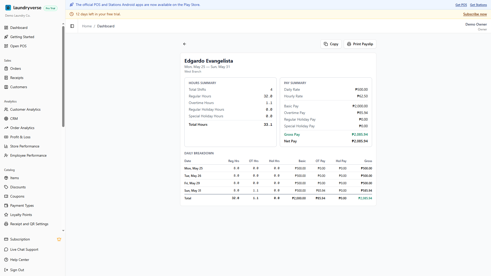 Employee payslip with hours, pay summary, and daily breakdown